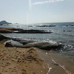 L'eléphant Campeggio