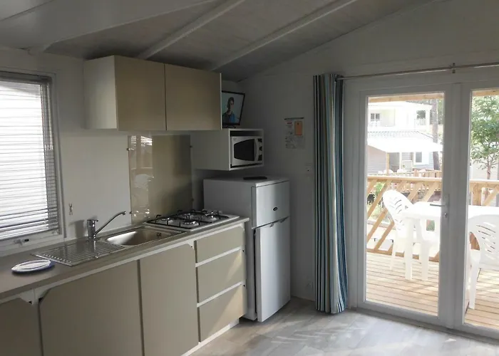 L'eléphant Campeggio