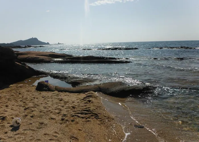 L'elephant Kamp alanı